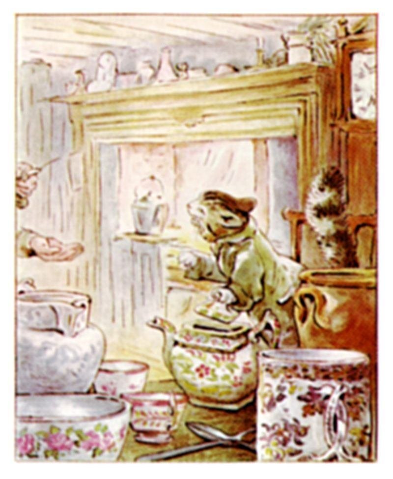 Peter Rabbit作品集｜Shigetaka3