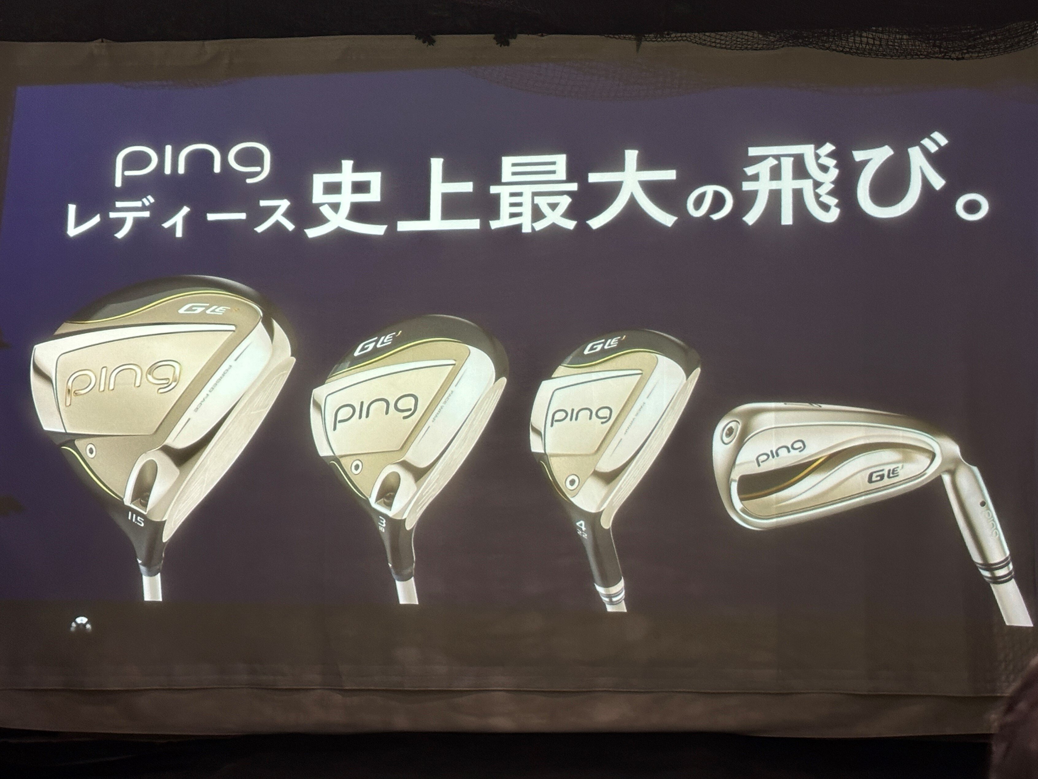 ゴルフクラブセット レディース用 ゼクシオ PING ゴルフクラブセット