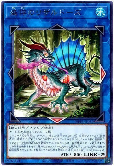 遊戯王OCG】契約を結びし竜の戦士ガチ考察｜ゆの