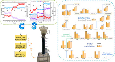 Performance and metagenomic analysis of a micro-aerated anaerobic