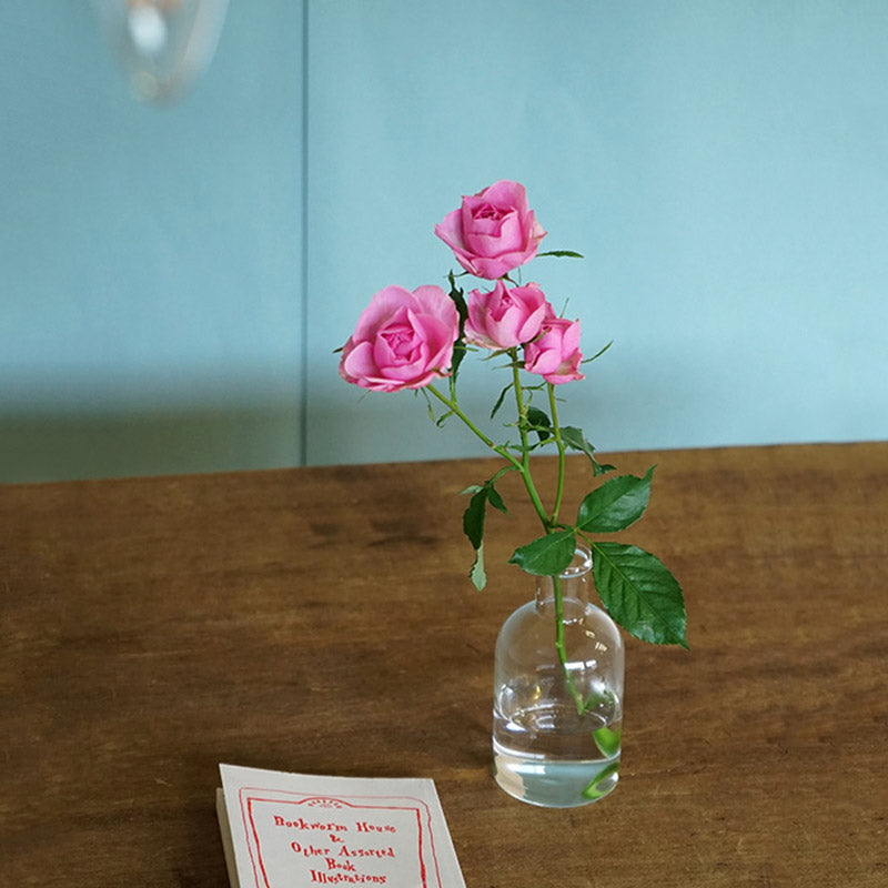 ガラスベース ロワ | AXCIS ONLINE