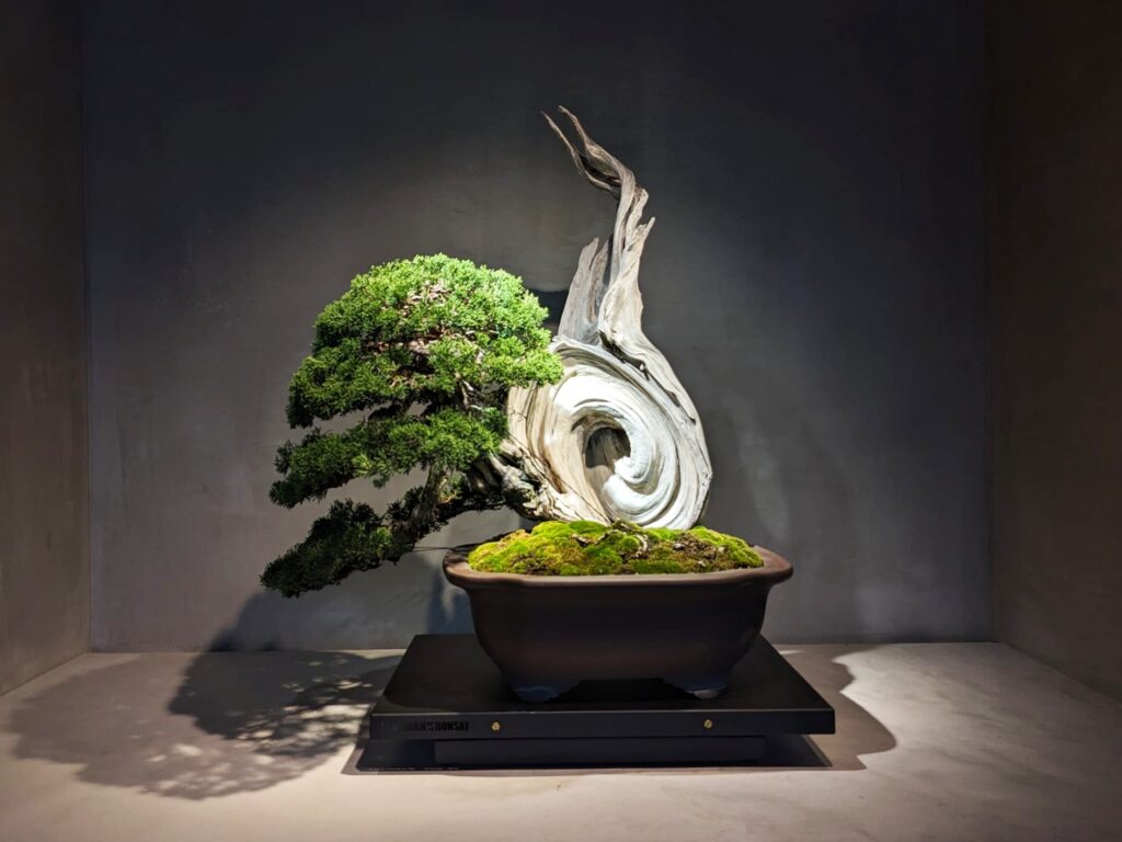 盆栽とストリートカルチャーの融合、伝統継承と革新を続ける