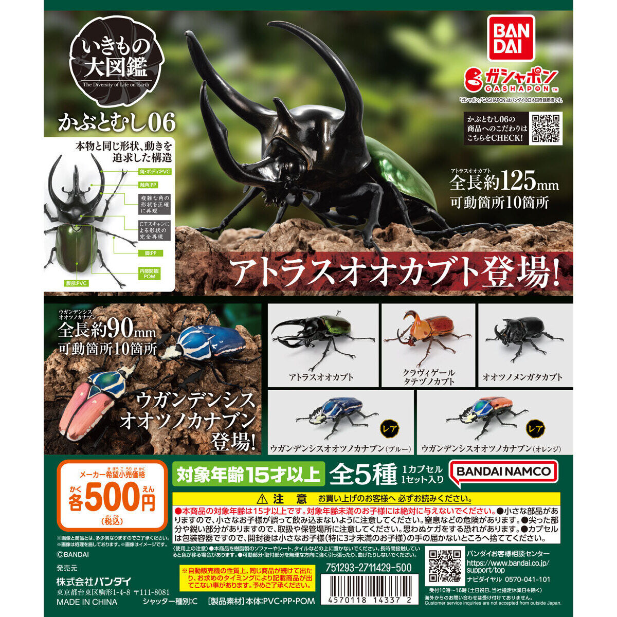 いきもの大図鑑 かぶとむし06｜ガシャポンオフィシャルサイト