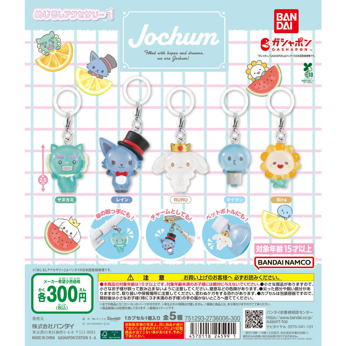 JOCHUM めじるしアクセサリー1｜ガシャポンオフィシャルサイト