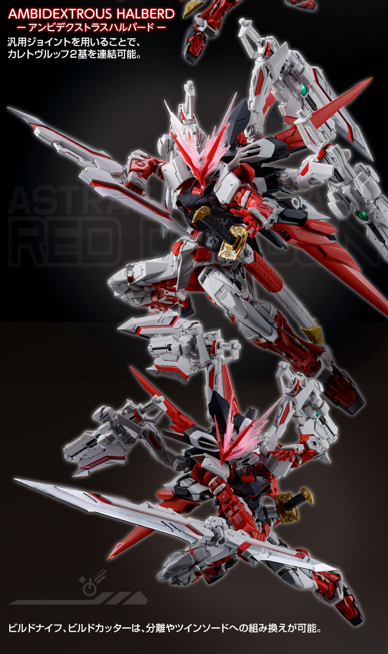 RG 1/144 Gundam Astray Red Dragon Plastic Model