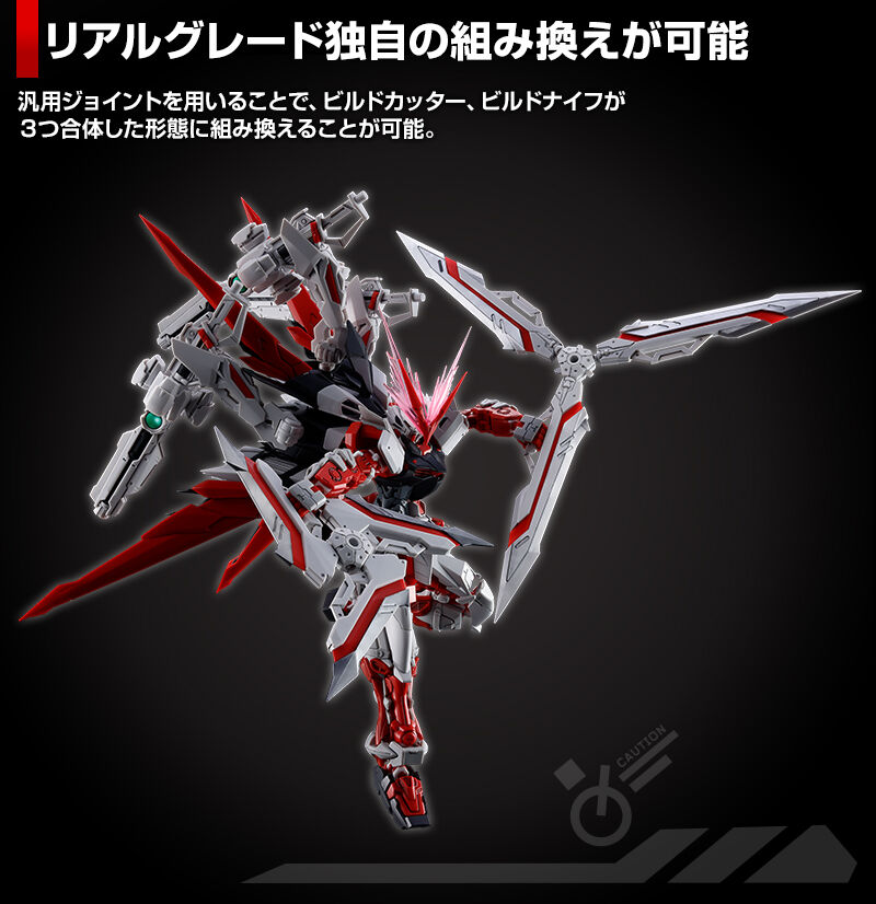 RG 1/144 Gundam Astray Red Dragon Plastic Model