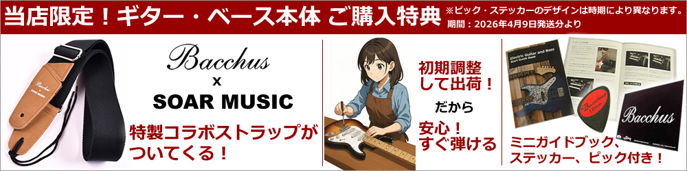 WJB-1DX RSM/M スタンダードセット / Bacchus Universe Series エレキ