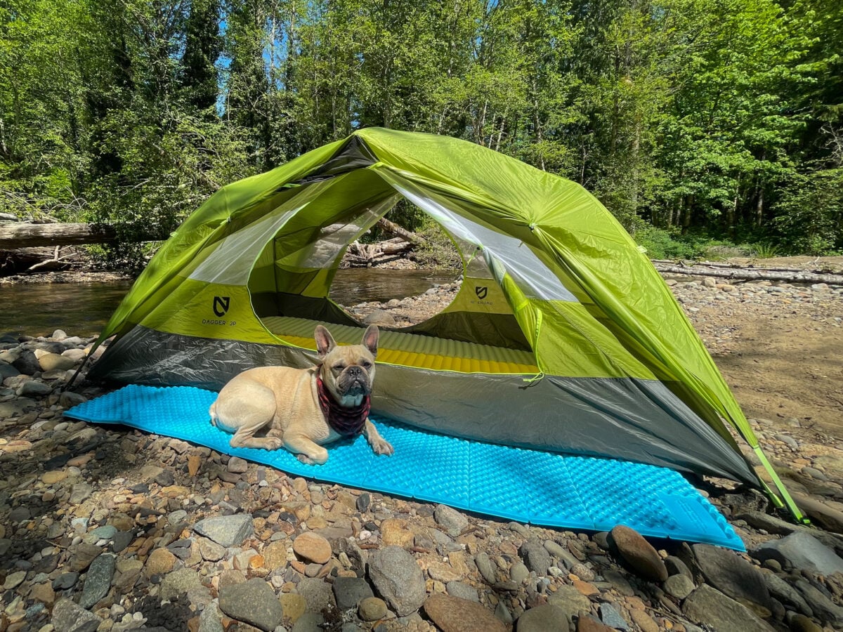 becca-bergstrom-nemo-3p-4-