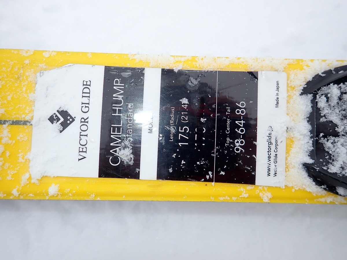 ヴェクターグライド 競技用と一般用モーグル板 キャメルハンプ 試乗