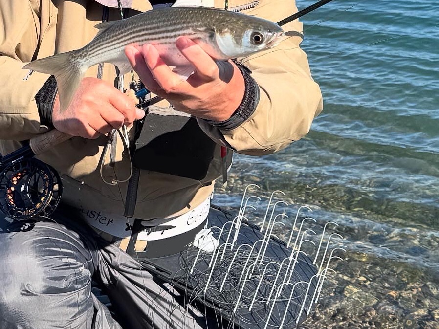 最適なラインバスケット選びのガイド | Fly Fishing BLOOD KNOT