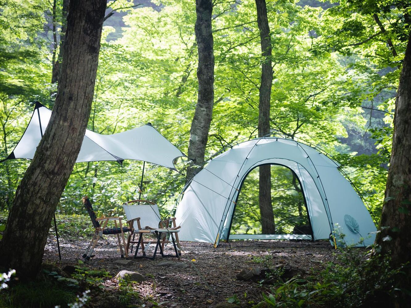 ブログ | 東京や横浜でキャンプギアならアウトドアギア専門店 Geek Field