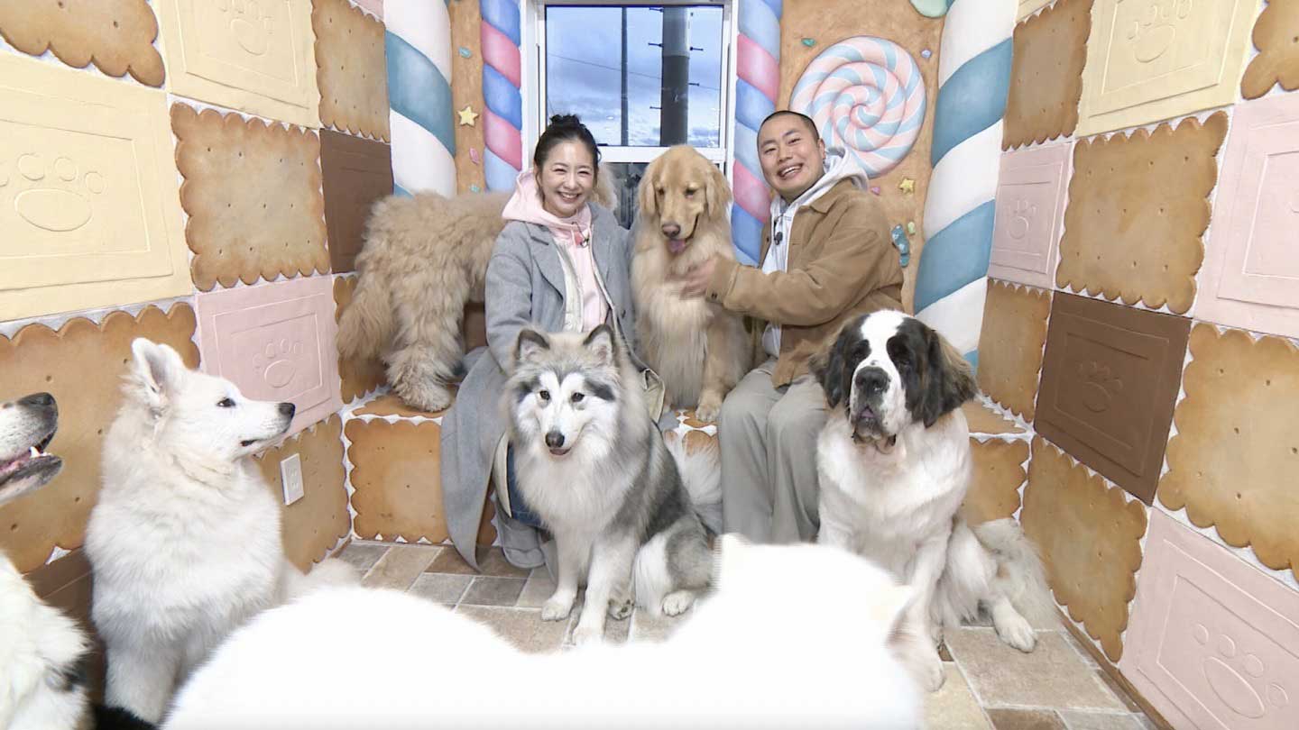 いぬじかん」2025年3月25日（火）の放送内容：いぬじかん ねこ自慢｜BS-TBS