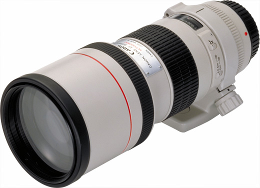 EF300mm F4L USMで鮮烈な奇跡 - 魅惑の中望遠