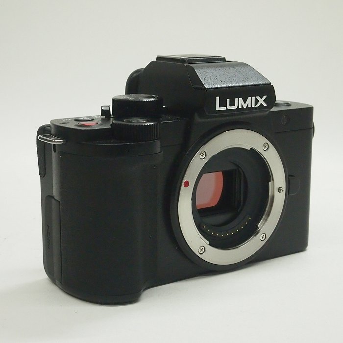 パナソニック LUMIX DC-G100K-K 標準ズームレンズキット｜ナニワ