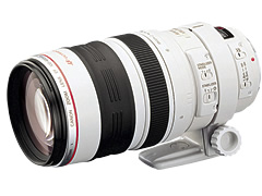 キヤノン(CANON) EF100-400mm F4.5-5.6L IS USMの買取価格｜ナニワ