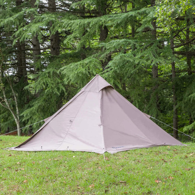 2股TCティピー】ホールアース『アースピノマッド』のブログと口コミ