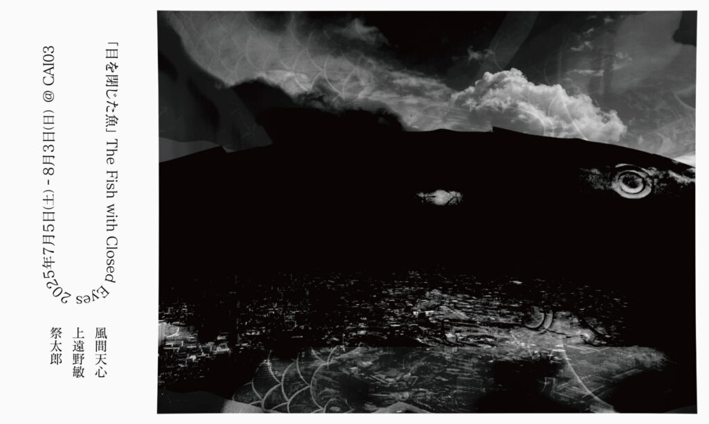 目を閉じた魚 | CAI03 | CAI現代芸術研究所 | 札幌・現代アート