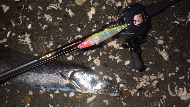 ダイワ シーバスロッド モアザン ブランジーノ EX AGS 93MHB(ベイト 2