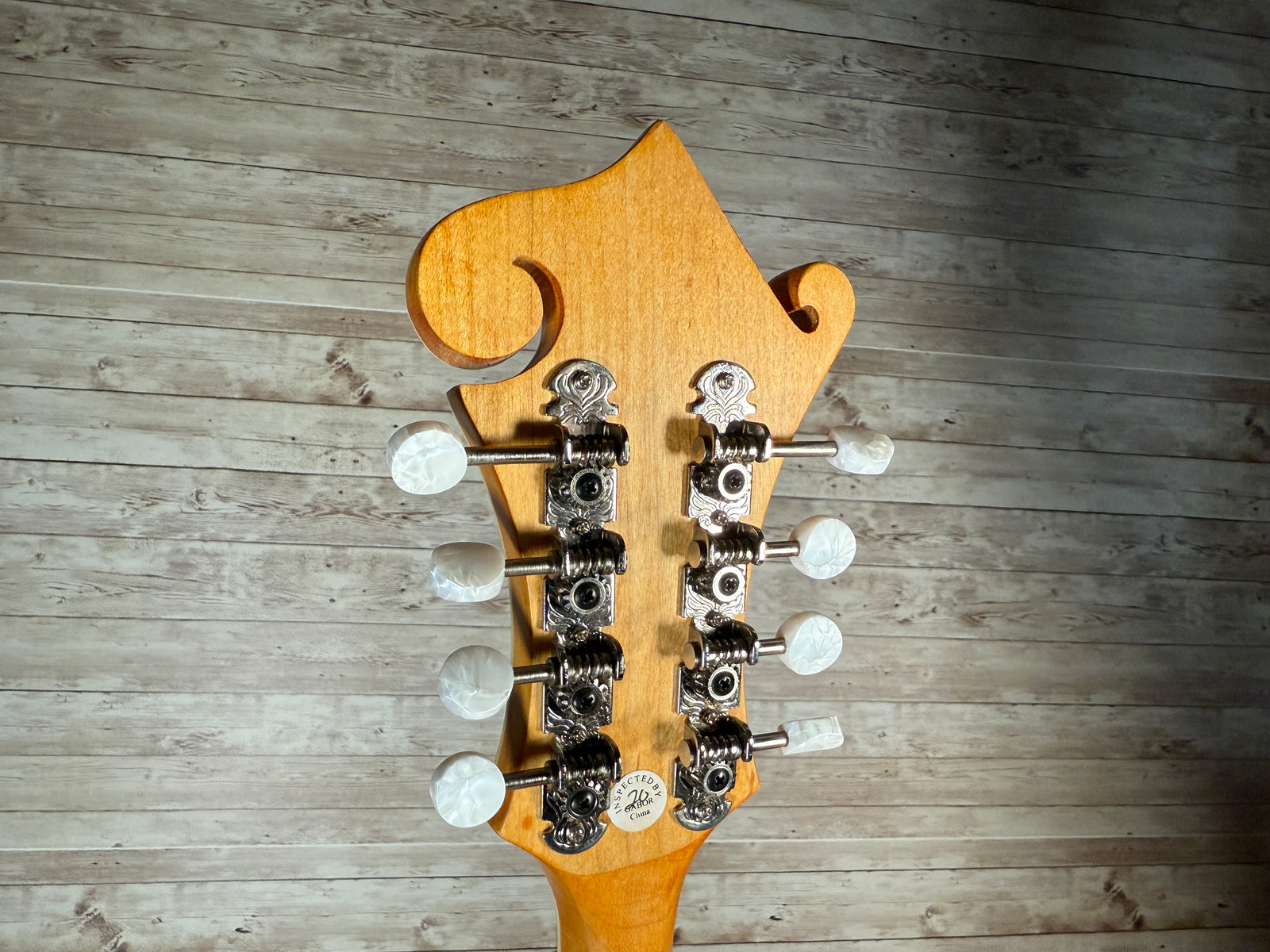 Epiphone MM-50E F-Style Mandolin Used Toronto, ON | Cask Music