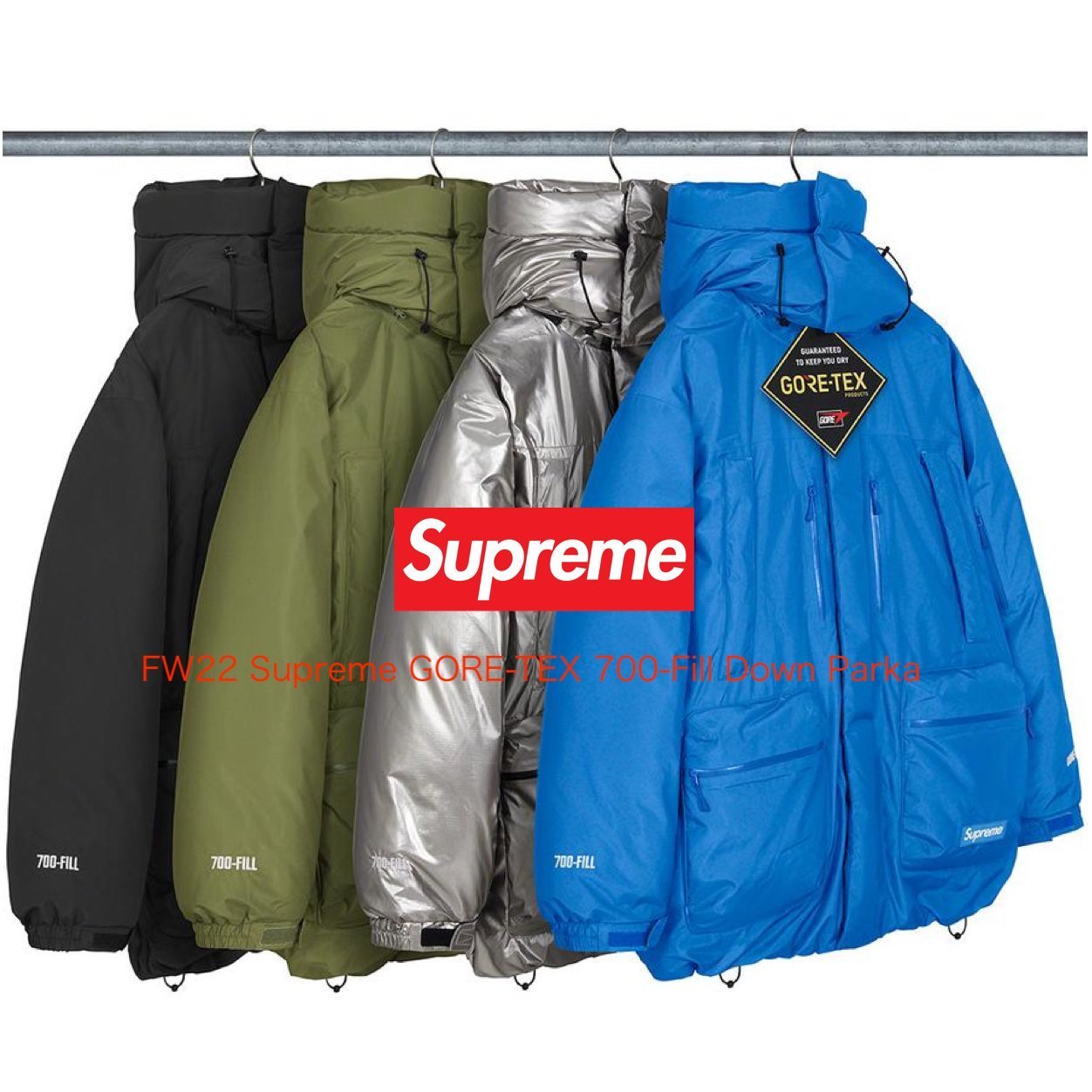 Supreme GORE-TEX 700-Fill Down Parka - シュプリーム ダウン