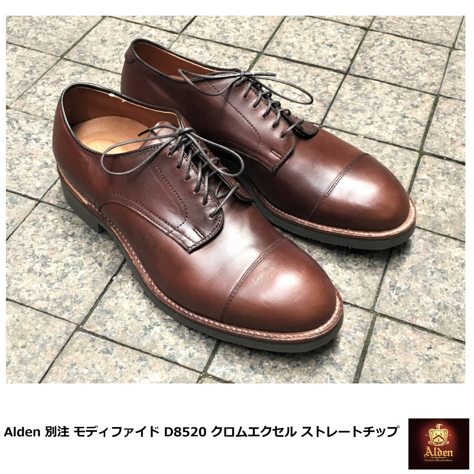 Alden] 別注 モディファイド クロムエクセル プレーントゥ (ALDEN