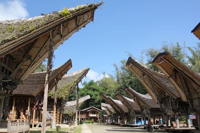 スラウェシ島 タナ・トラジャの旅（4）～トンコナン集落 ケテ・ケス