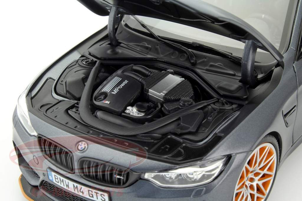 Minichamps provides the BMW M4 GTS from 1:18