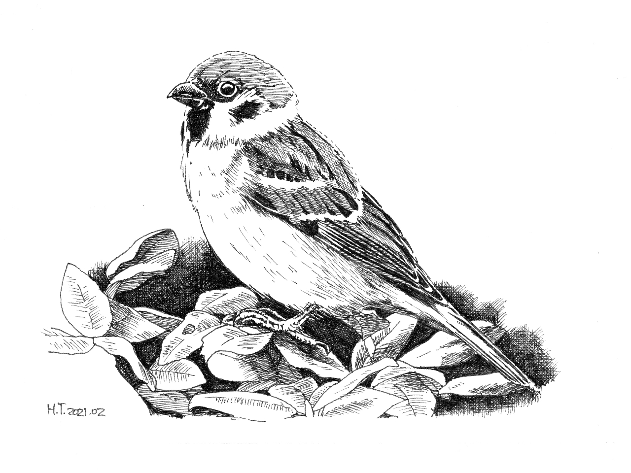 ペン画教室1日体験］ボールペン画の世界を体験しよう！/アート・アンド