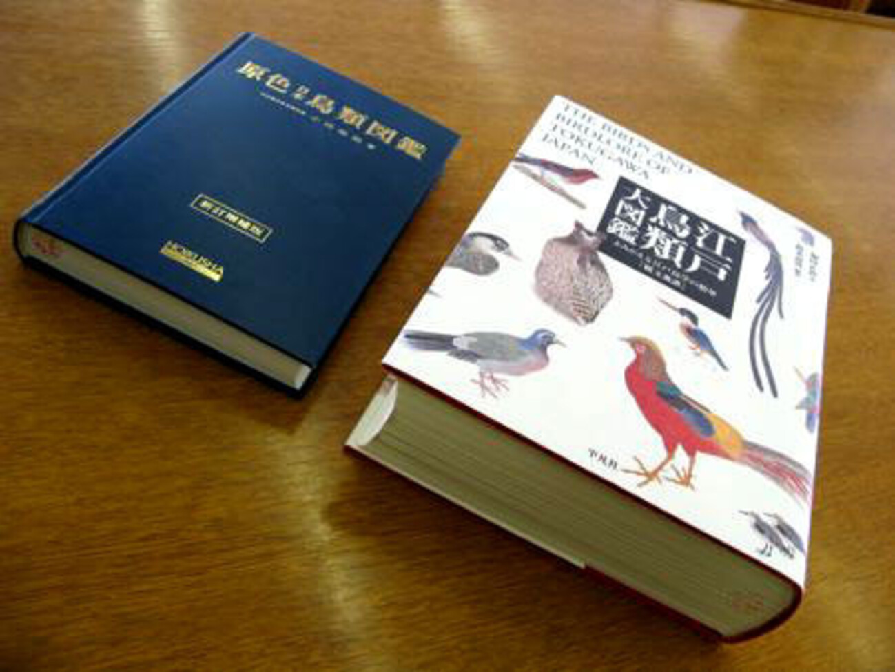 backend=imagemagick;version=1;