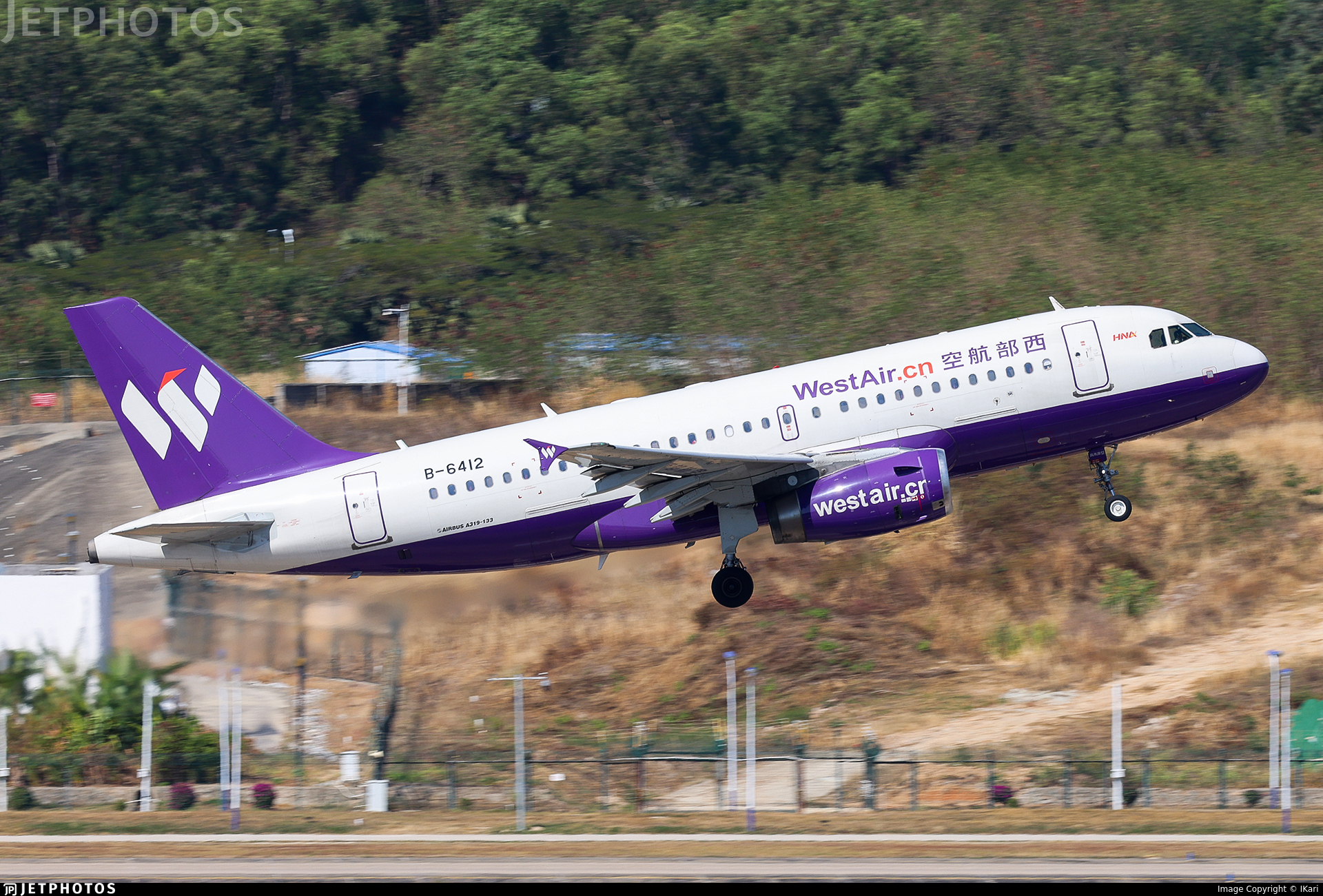 ブリュッセル航空 Airlinertagsベルギー国旗カット A319 ブリュッセル