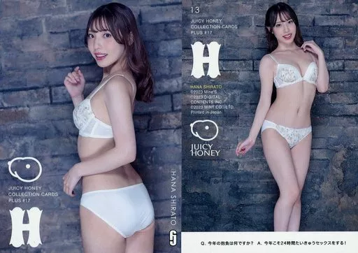 04 白桃はな ジューシーハニー PLUS#17 レギュラーカード 駿河屋 -【アダルト】<中古>13[レギュラーカード]：白桃はな