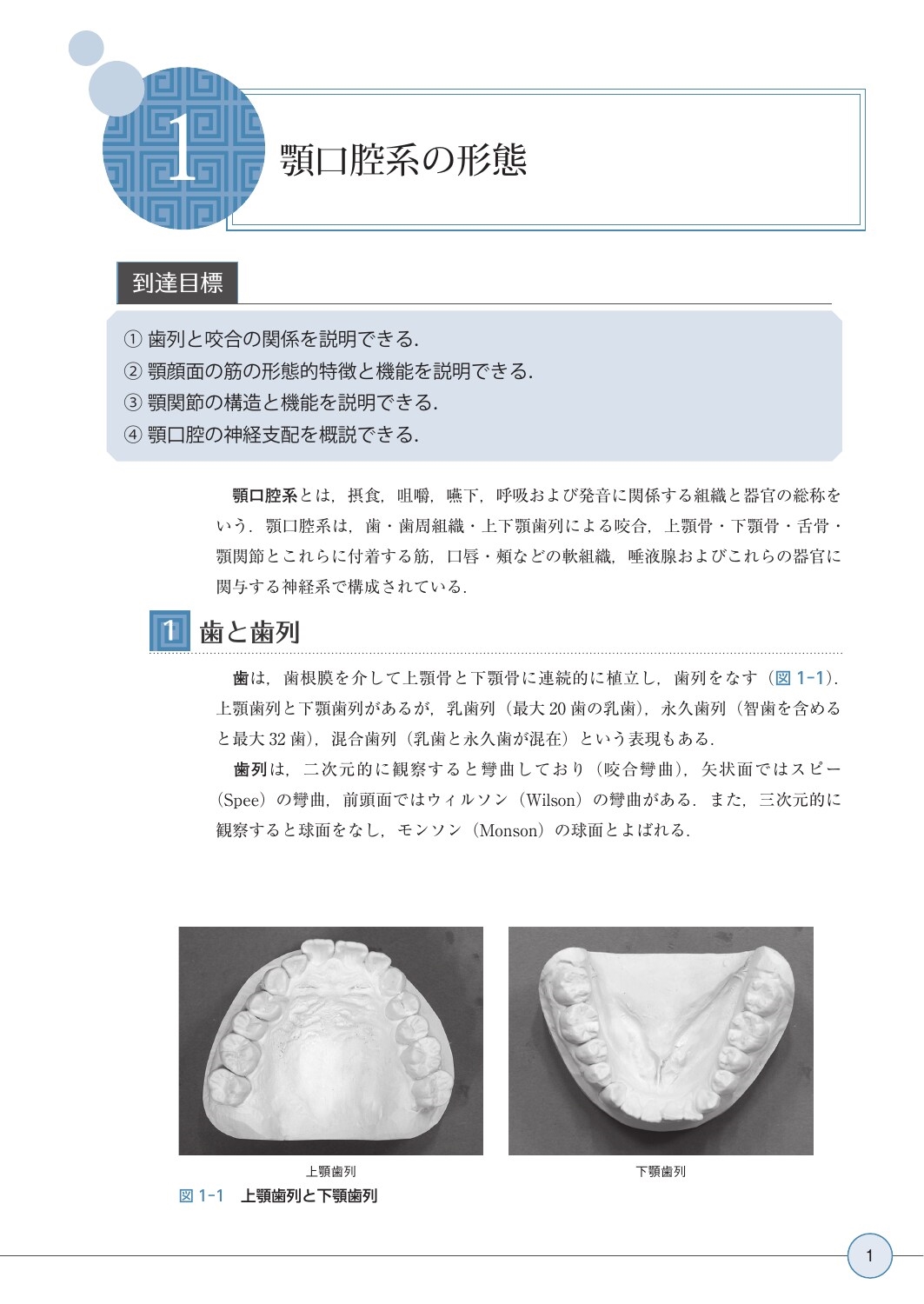 dショッピング |全国歯科技工士教育協議会 「最新歯科技工士教本 顎