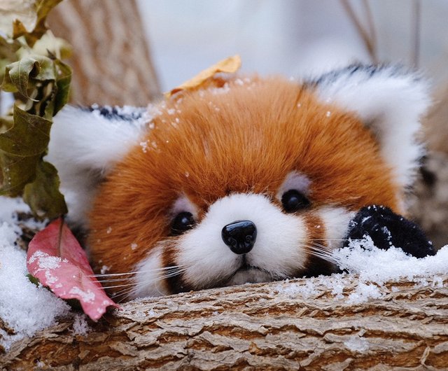 難易度アップグレードシリーズ】かわいいレッサーパンダ/DIY素材パック