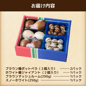 長谷川農産の美味しいマッシュルームセット 無農薬・無漂白栽培