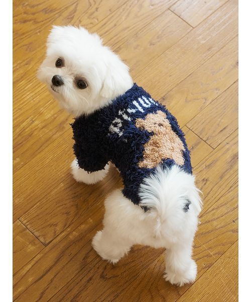 セール】【HOLIDAY】【CAT&DOG】ジェラートスノーベアジャガードプル