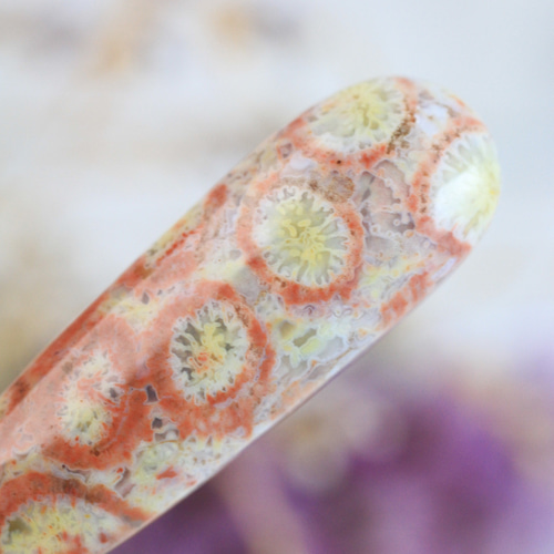 選べる/希少宝石】フォッシルコーラル クセ強め 耳飾り ピアス（フック