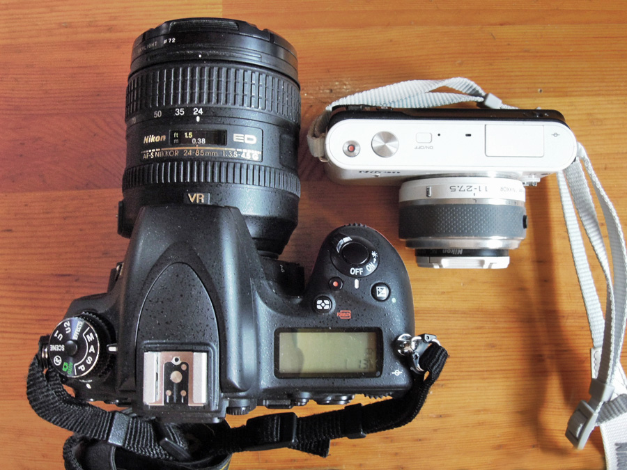 マニュアル操作ができるコンデジ：NIKON P300／CHSいろいろサイト