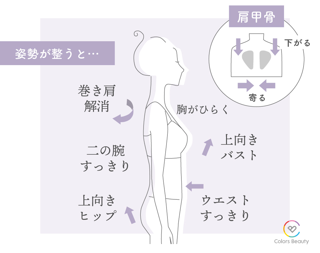 常識を覆す補正下着【ラヴィエール／イオセラン】 | 株式会社Colors