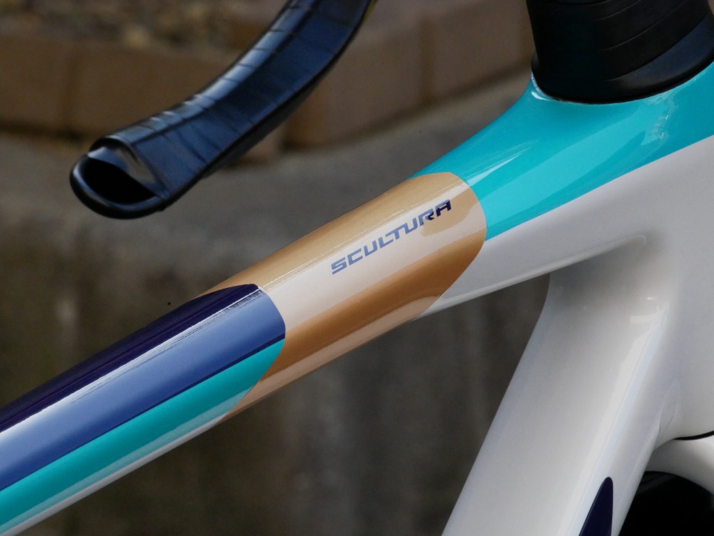 サイクルショップカンザキ千里店 / ☆最終特価☆SCULTURA TEAM