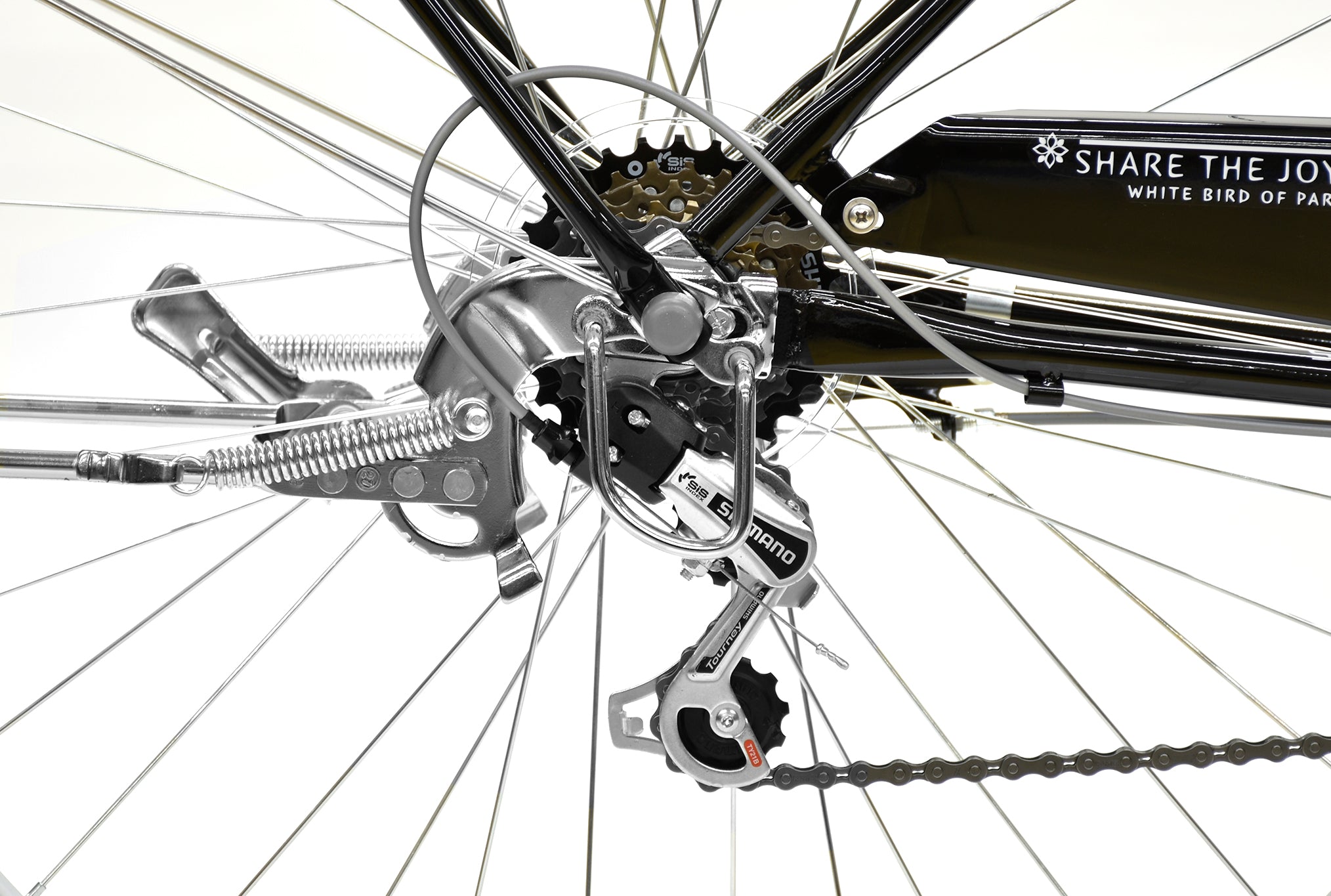 Augusta FP – CYCLE OLYMPIC