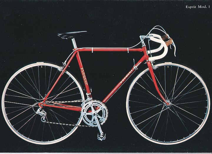 Part46：1977エベレストエスプリ