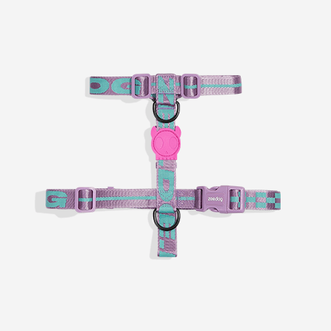 Peitoral para cachorros H Jacquard Aura | Zee.Dog