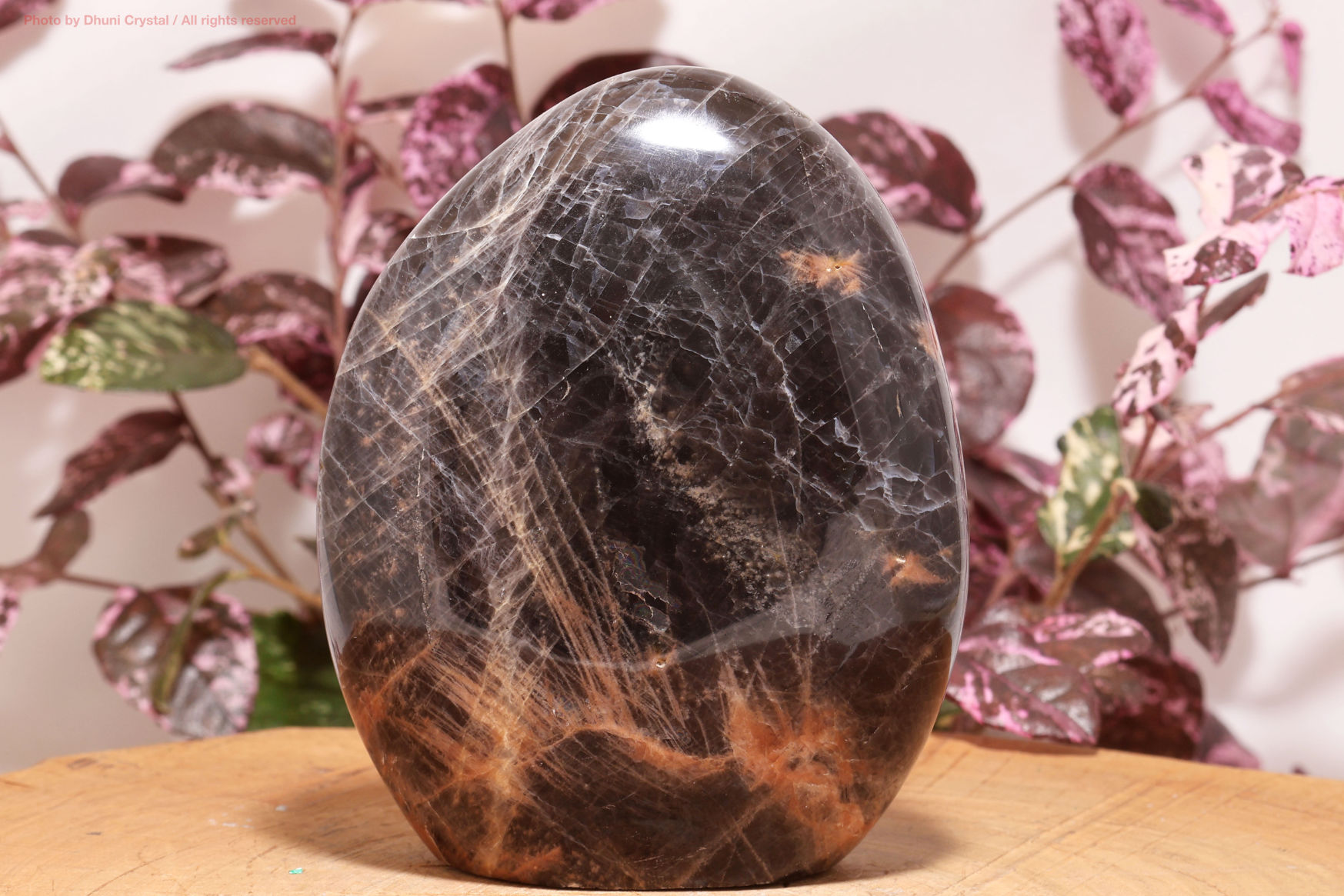 ブラックムーンストーン｜直感と癒しの守護石