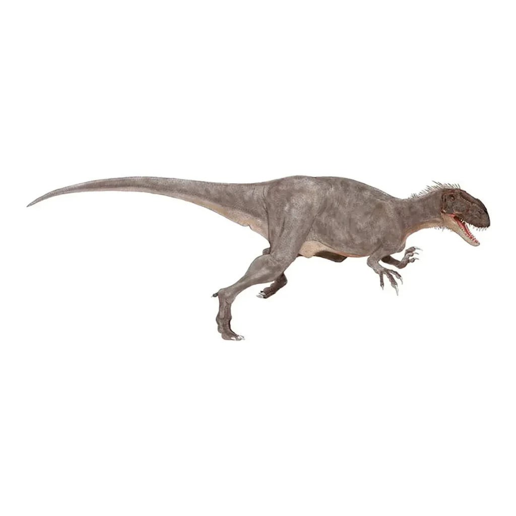 アフロベナトル フットクロウ 化石 恐竜 ニジェール アフロベナトル