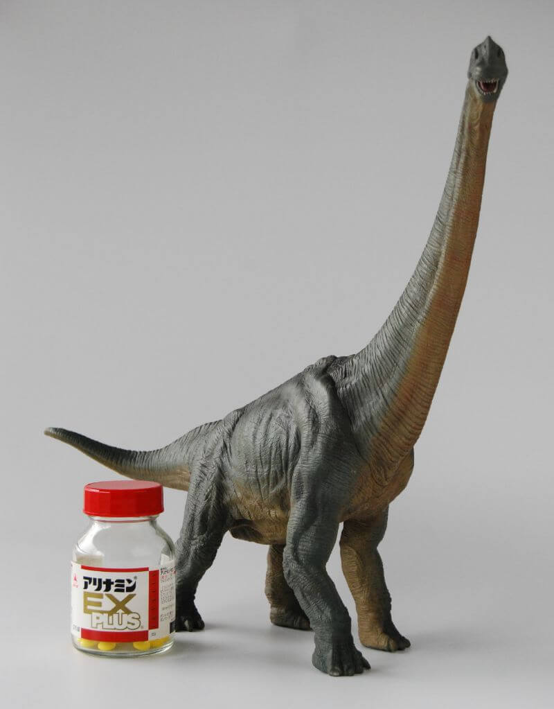 大人の恐竜模型館ーブラキオサウルス（Papo）レビュー | 大人の恐竜模型館