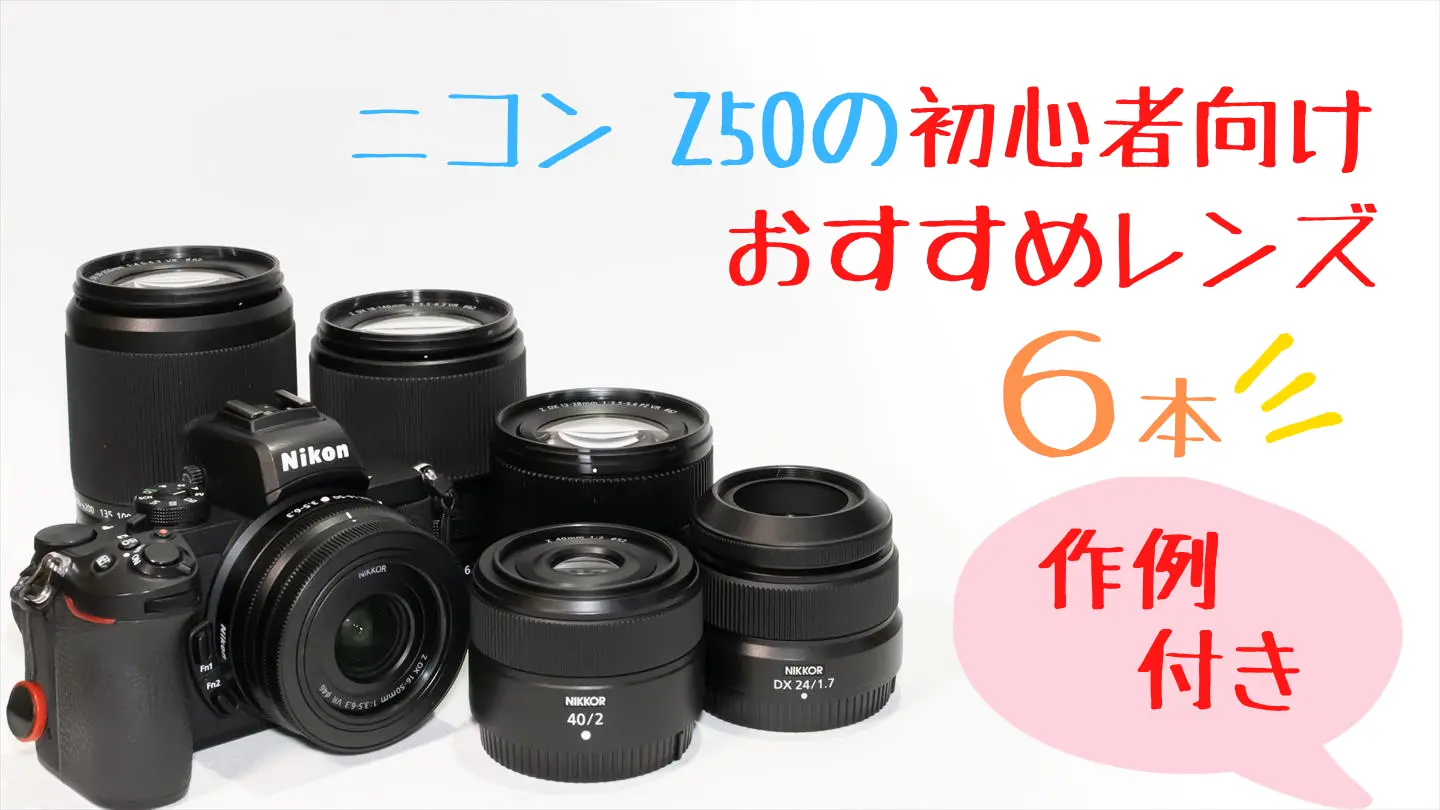 作例付き！初心者にもおすすめなニコンZ50で使いたいレンズ6選 | digi
