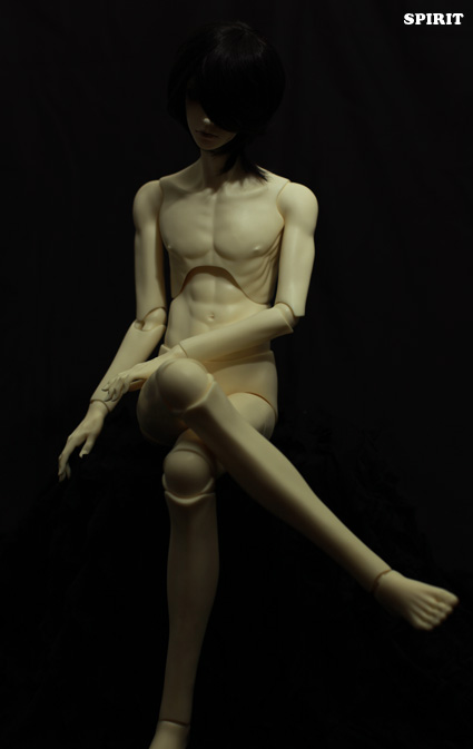 2nd ver. Proud Male Body (Jointed Torso)｜DOLK（ドルク）