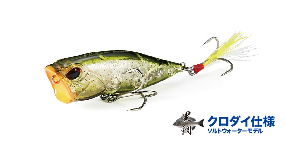 REALIS POPPER 64 CHINU - SALT｜製品情報｜DUO International