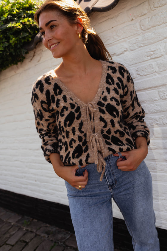 Leopard Joca Cardigan – Easy Clothes North America