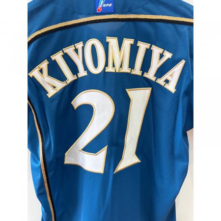 北海道日本ハムファイターズ (ホッカイドウニッポンハムファイターズ